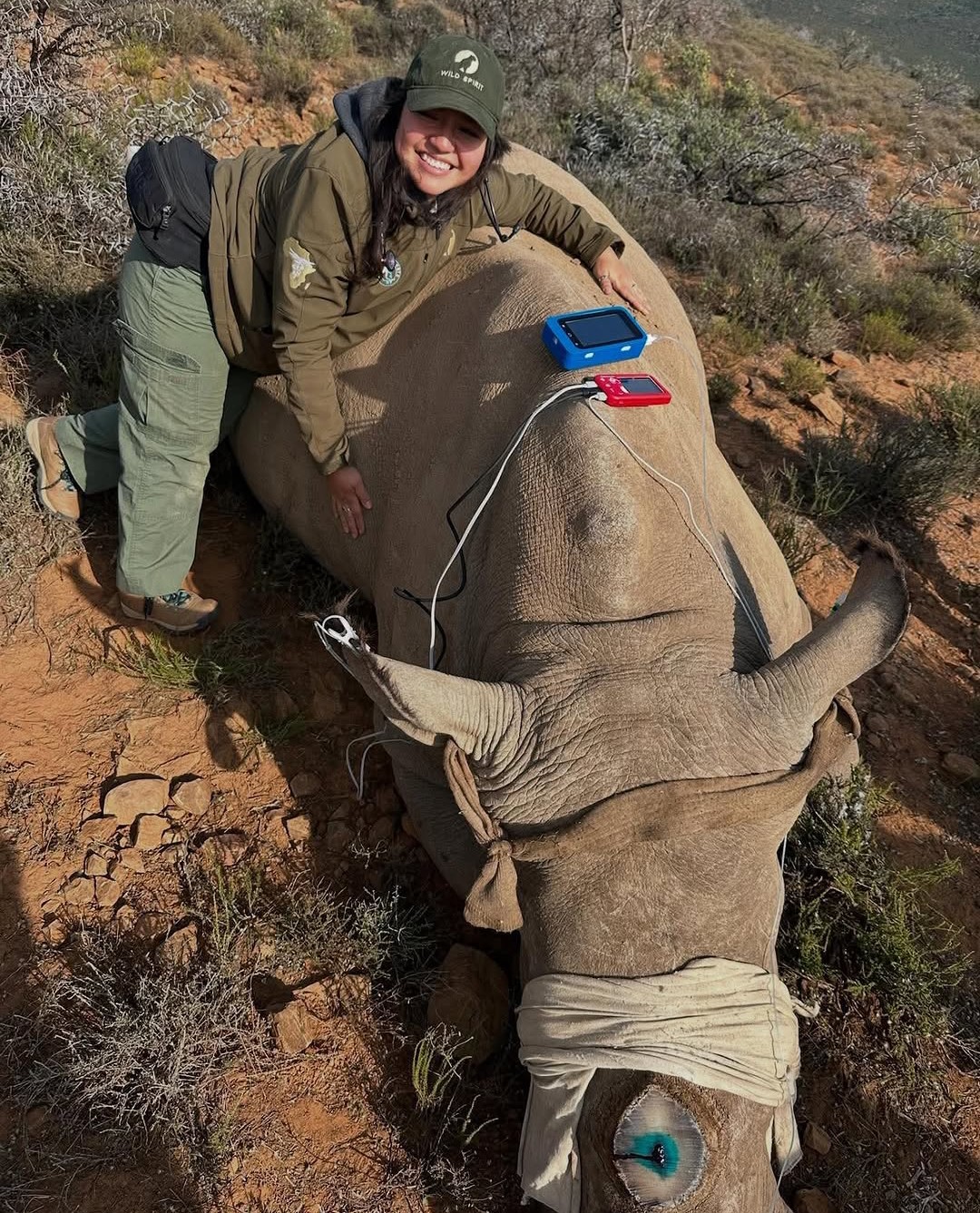 Wildlife vet working in South Africa